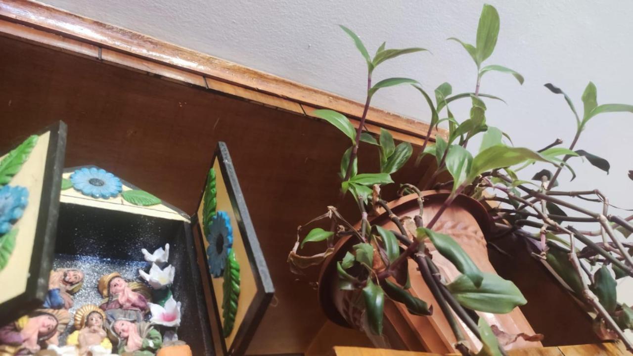 קוסקו Brizio Guest House מראה חיצוני תמונה